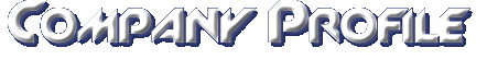 Company Profile Logo